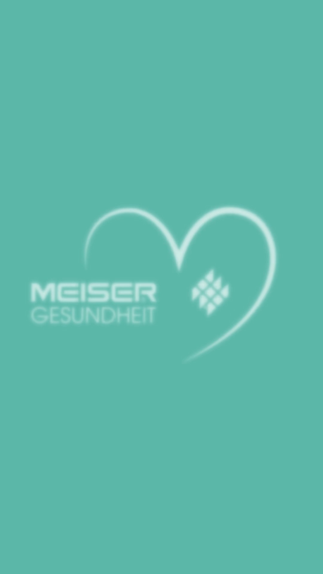 MEISER - Führender Anbieter von Industriebelägen