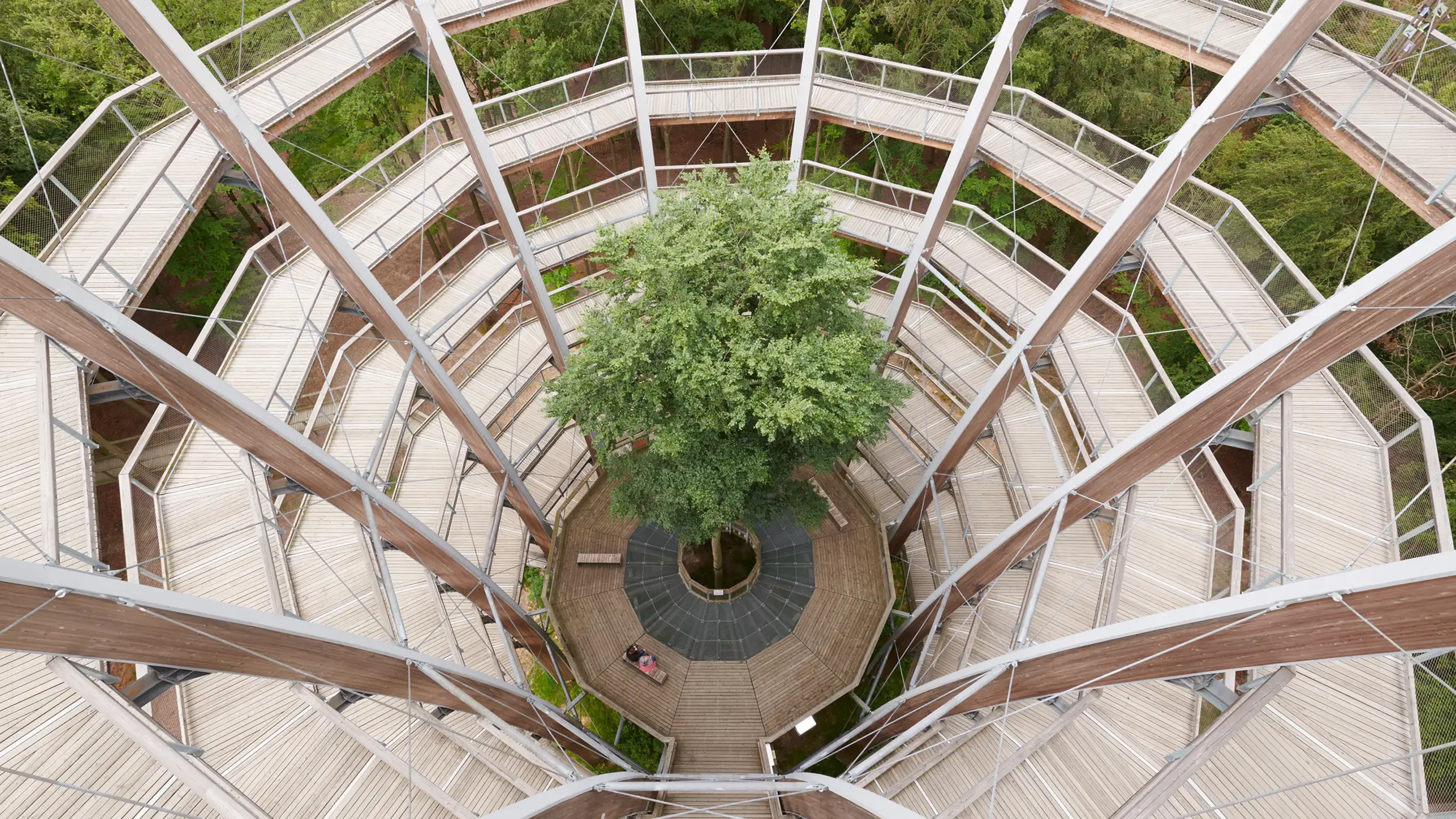 Inspiration & Projekte: Treetop Walk Steigerwald Ebrach