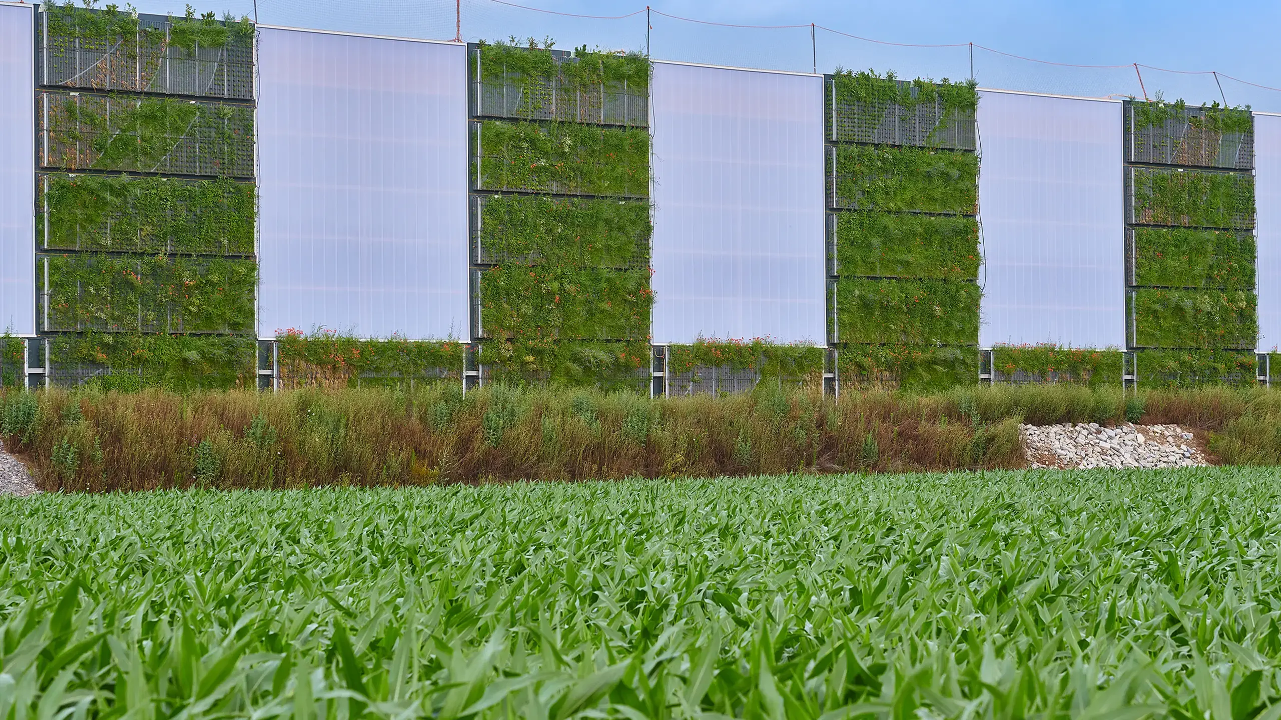 Inspiration & Projekte: Green wall – Birkenmeier Breisach