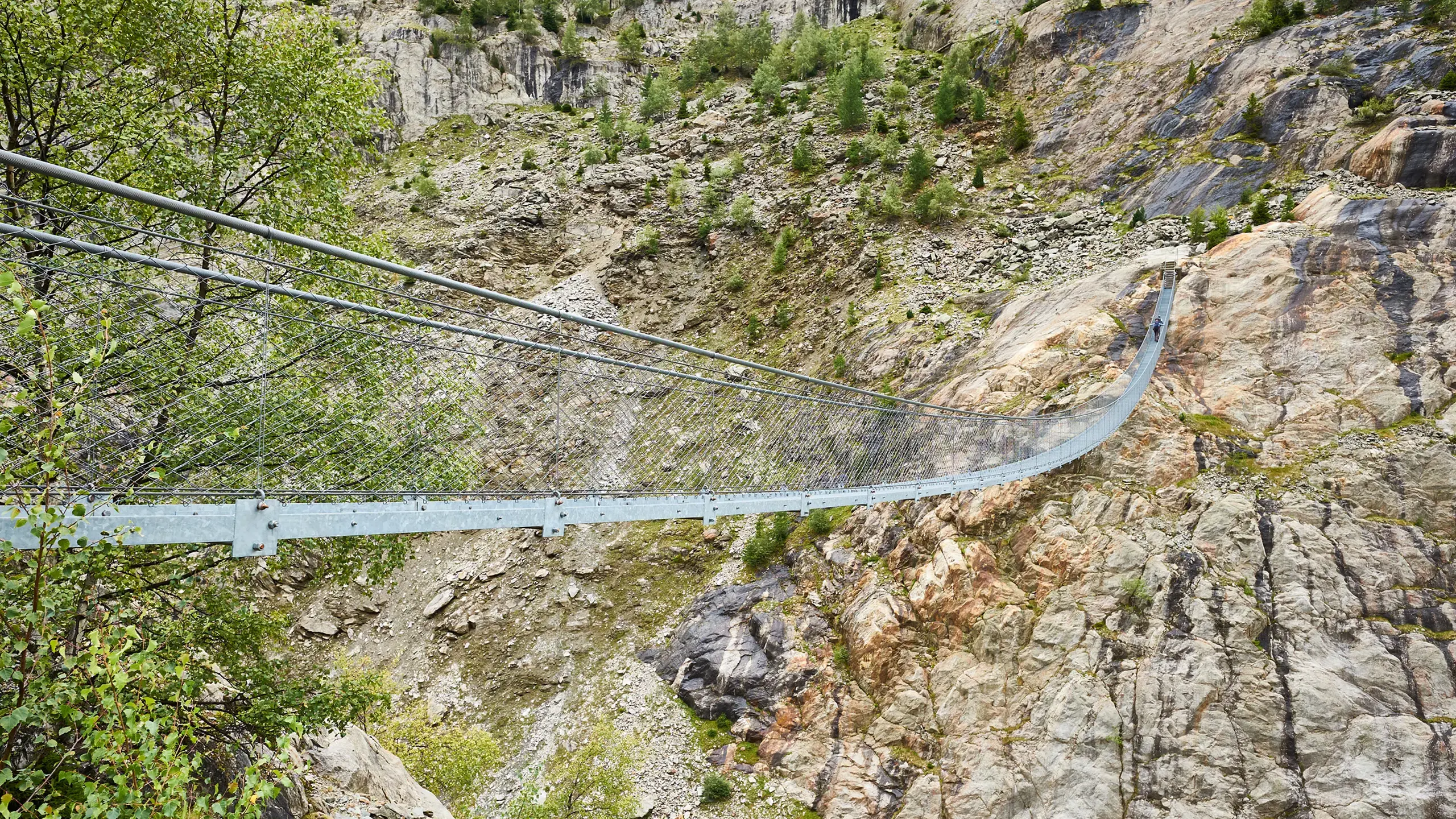 MEISER References: Hängebrücke Riederalp