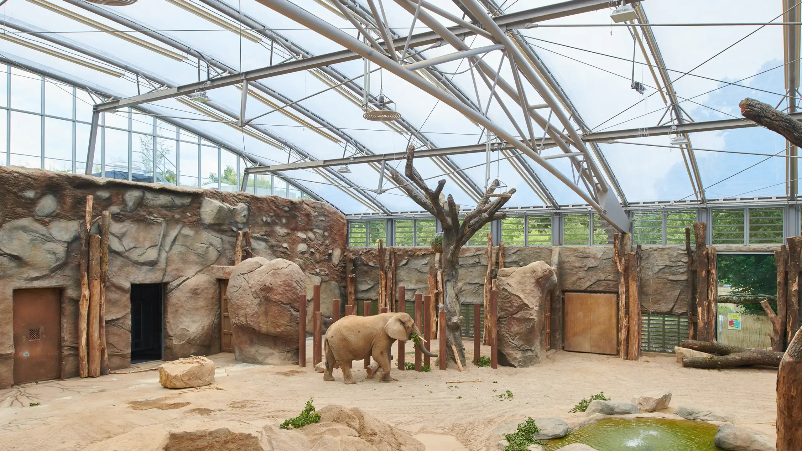 Inspiration & Projekte: Dresden Zoo