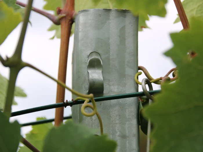 Meiser Holding GmbH – Kriechel Winery