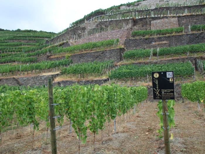 Meiser Holding GmbH – Kriechel Winery