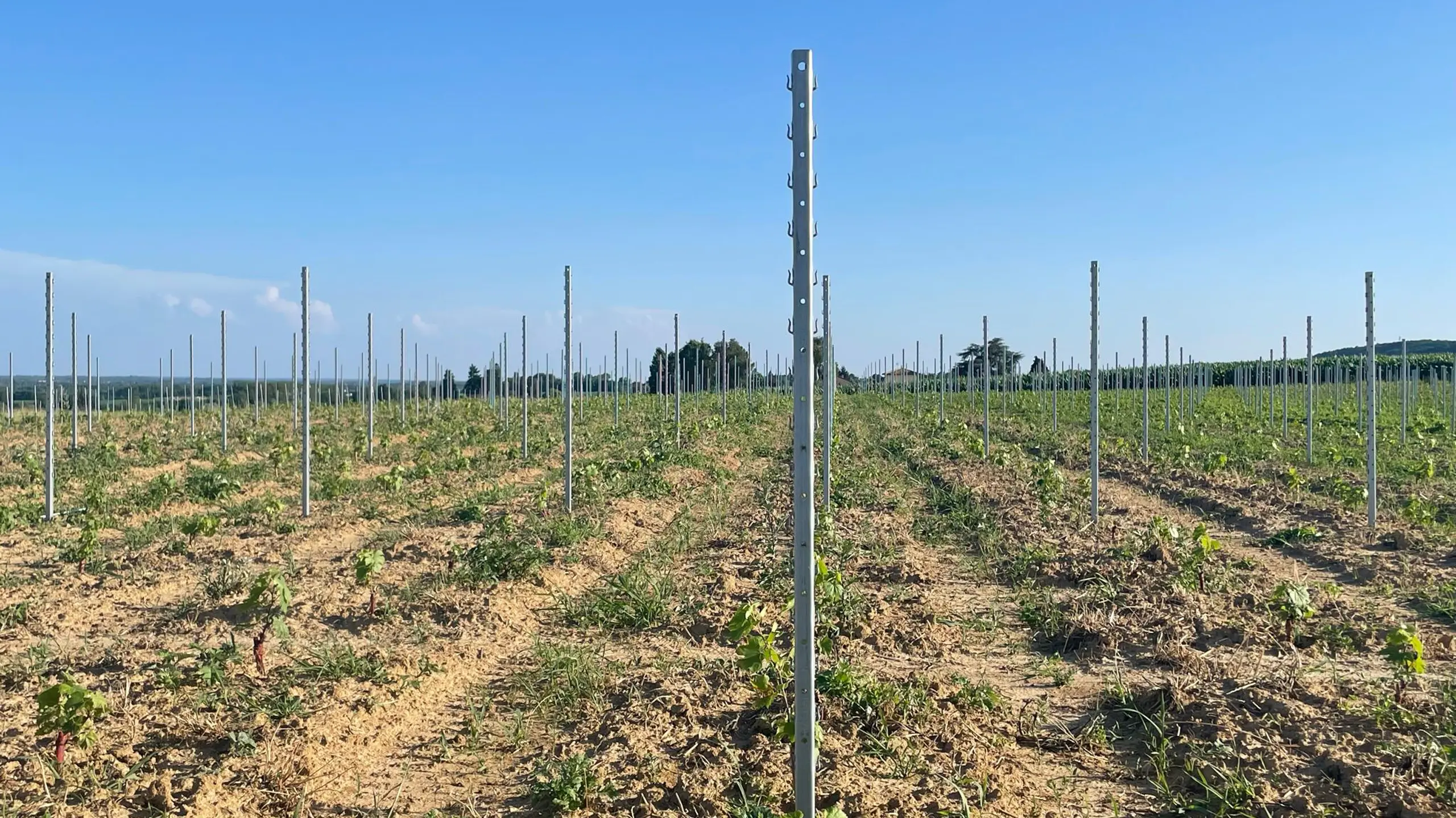 Inspiration & Projekte: Weinregion Burgund