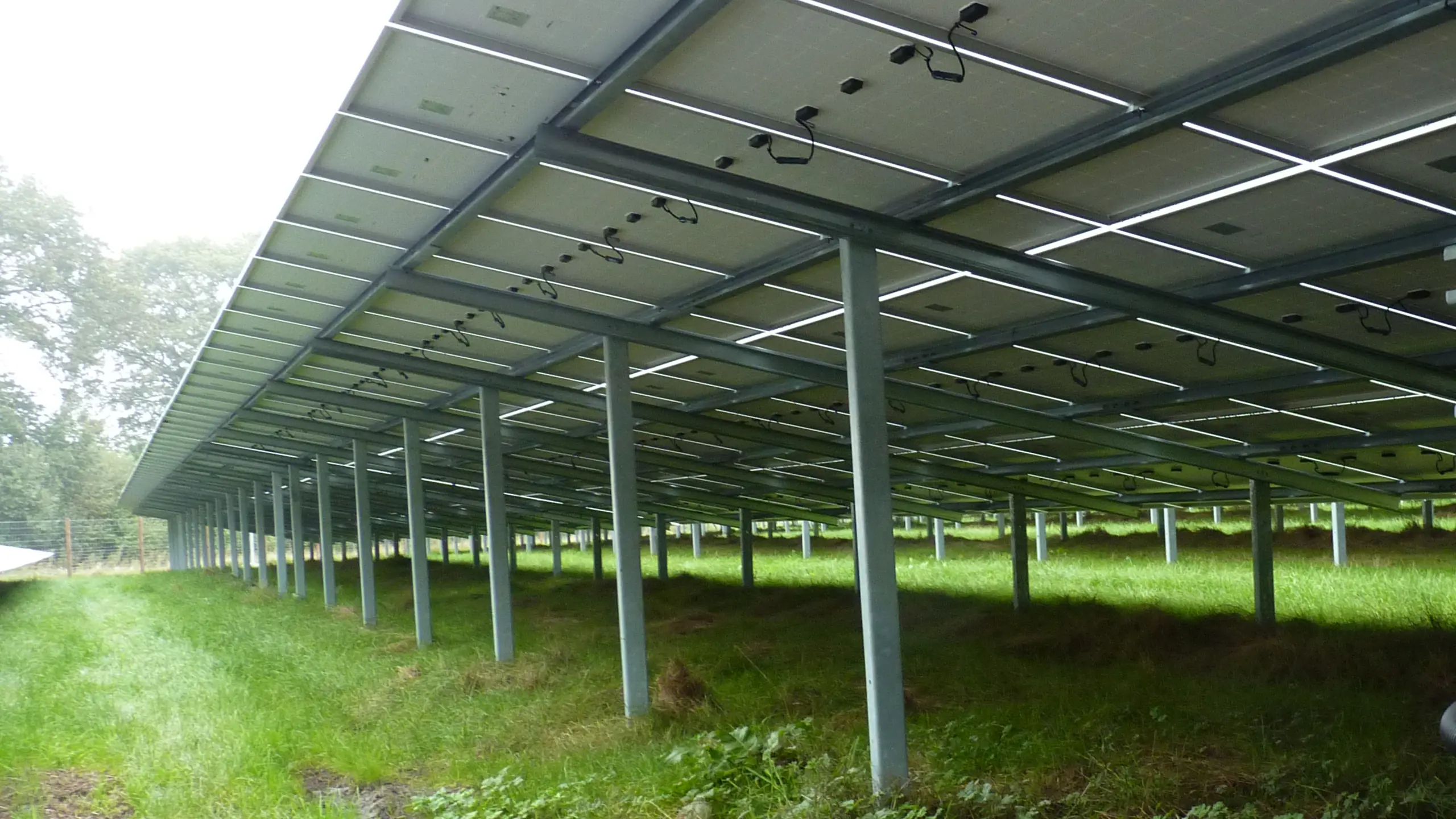 MEISER References: Solarpark Borrentin