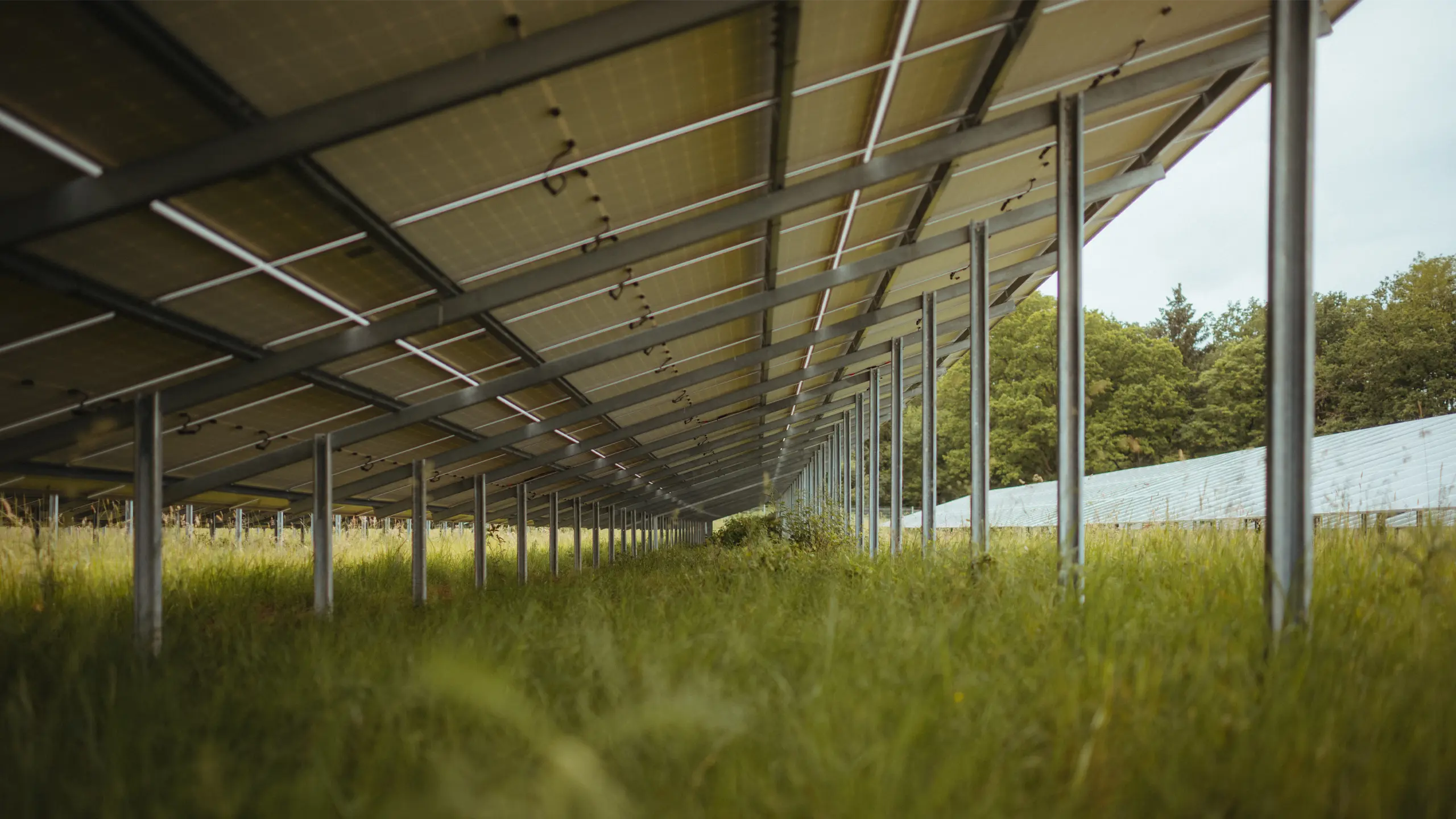 Inspiration & Projekte: Weesow-Willmersdorf
